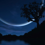 late_night_reverie1
