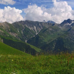 saramin-ma
