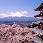Blossoming-Tokyo.-8