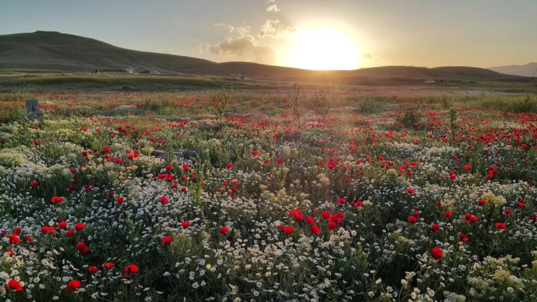 دنیا از نگاه ف م سخن جمعه ۱۱ فروردین