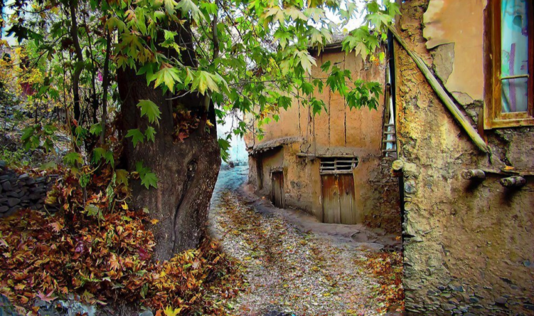 پنجره ای رو به خانه پدری سه شنبه ۲۹ مرداد‎