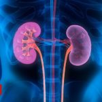 how-an-economist-helped-thousands-get-a-new-kidney.jpg