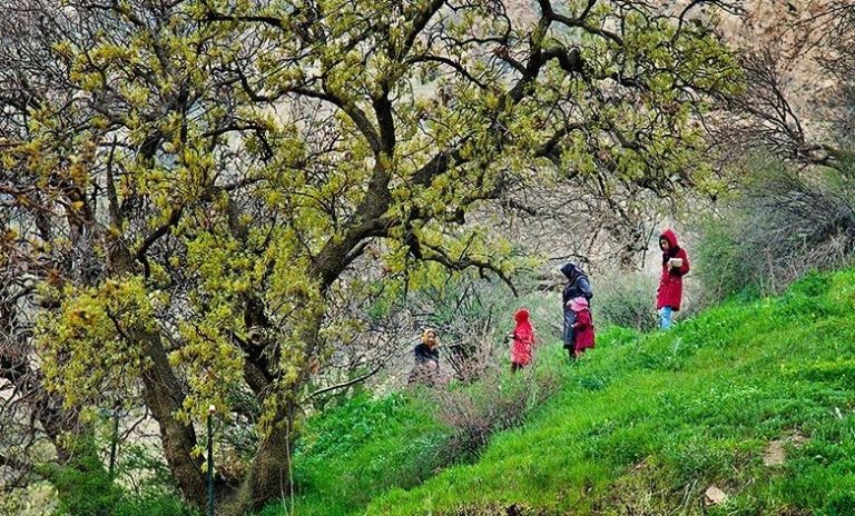 پنجره ای رو به خانه پدری سه شنبه ۲۶ فروردین