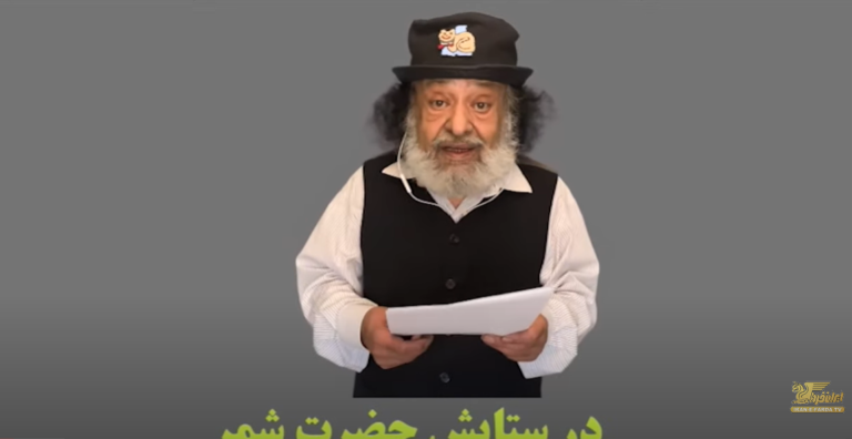 هادی و گربه اش- دوشنبه ۳ شهریور