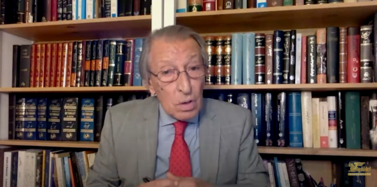 شاخه های این درخت کهن دوشنبه ۱۷ آذر